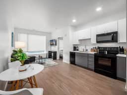 Luxury 1 BR Apartment- Downtown - Free Parking