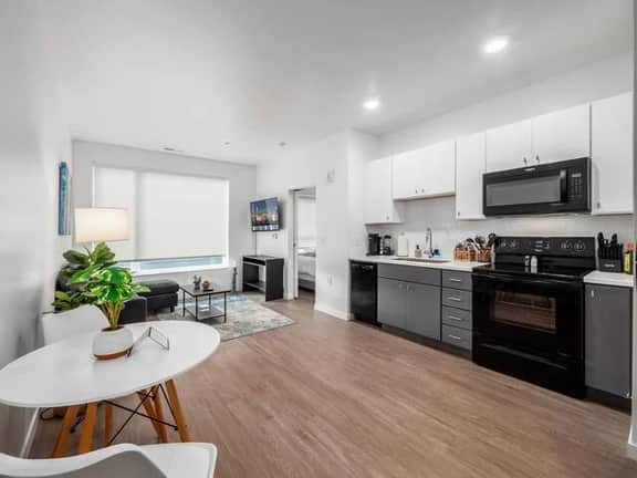 Luxury 1 BR Apartment- Downtown - Free Parking