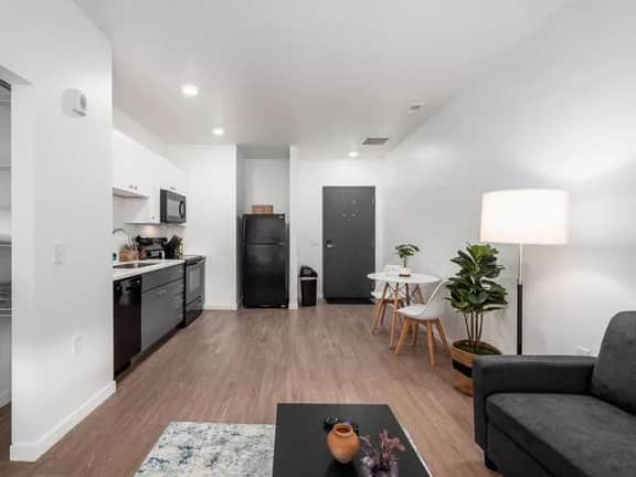 Luxury 1 BR Apartment- Downtown - Free Parking