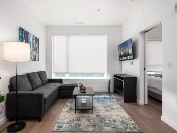 Luxury 1 BR Apartment- Downtown - Free Parking