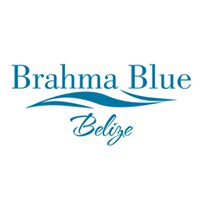 brahma-blue-logo